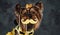 Elegant yorkshire doggy weared in bee dress against dark background