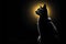 Elegantly bold, Black cats silhouette stands out on enchanting dark backdrop