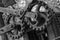 Element detail cogwheel gray toned grunge background design base engineering technology old engineering mechanism shaft