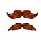 Element of head and face of hipster. Long moustache of old man. Cartoon illustration. Brown hair guy