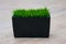 An element of interior design - a rectangular flower pot with live grass stands on the floor