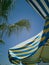 element of a striped d umbrella and branch, palm leaves background  clean  sky