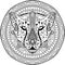 Element for your design. National ethnic circular pattern with the head of a Cheetah. Coloring page