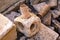 Elements of the ancient roman plumbing among the ruins of an antique building