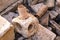 Elements of the ancient roman plumbing among the ruins of an antique building