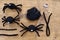 Elements for creating a felted black spide