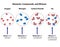 Elements, Mixtures, and Compounds Compared