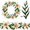 Elements set elegant lily tiger type realistic flowers vector