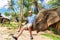 Elephan lifting a tourist.