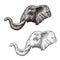 Elephant African wild animal vector sketch icon