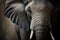 Elephant animal close-up. AI Generated