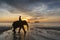 Elephant on a background of sunset and sea on Koh Chang, Thailand.