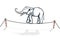 Elephant balancing