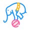 Elephant balancing on ball color icon vector illustration