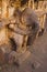 Elephant base pillars at Banashankari temple, Badami