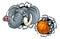 Elephant Basketball Ball Sports Animal Mascot