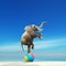 An elephant on a beach ball