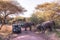 Elephant in beautiful landscape scenery of bush savannah - Game drive in Lake Manyara National Park, Wild Life Safari, Tanzania,