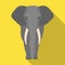 The elephant, the biggest wild animal. African elephant with tusks single icon in flat style vector symbol stock