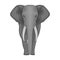 The elephant, the biggest wild animal. African elephant with tusks single icon in monochrome style vector symbol stock