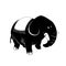 Elephant - black & white animal series