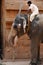 Elephant at Brihadeshwara Temple, India