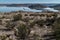 Elephant Butte Lake vista, New Mexico