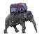 Elephant carries a large backpack