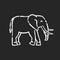 Elephant chalk white icon on black background