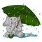 Elephant. Character. Crying under an umbrella, autumn, rain. Big collection of isolated elephants. Vector, cartoon.