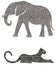 Elephant and Cheetah