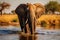 Elephant in Chobe National Park, Botswana, Africa, Africa Botswana Chobe National Park African Elephant, AI Generated