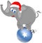 Elephant with Christmas Hat on Big Decorated Ball