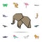 elephant colored origami icon. Detailed set of origami animal in hand drawn style icons. Premium graphic design. One of the