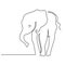 Elephant continuous one line drawings set