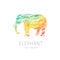 Elephant creative colorful logo template