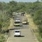 Elephant crossing and blocking road in safari park