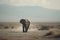 Elephant in the desert. Neural network AI generated