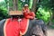 Elephant driver in Angkor Thom,