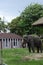 The elephant at a Dusit zoo in Thailand