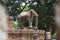 Elephant at East Mebon temple, Angkor Wat