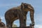 Elephant at East Mebon temple, Angkor Wat