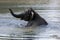 An elephant enjoys a bath in a water hole in Yala National Park near Tissamaharama in Sri Lanka.