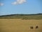 Elephant family on Kenyan safari