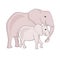 Elephant family. Pink animal outline hand drawn ink monochrome art design element