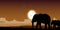 Elephant family sunset