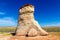 Elephant Feet in Navajo nation reservation