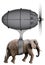 Elephant Flying Machine Isolated