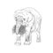 Elephant in full growth, holds dry branch, grass and roots with its trunk, sketch vector graphics monochrome drawing
