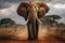 An elephant gracefully walking across the vast savanna, a symbol of strength and serenity. AI Generated